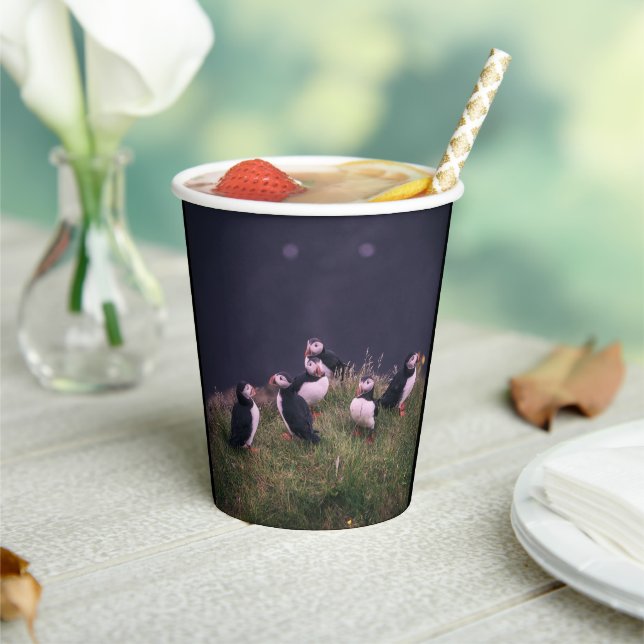 Atlantic Puffins Paper Cups (Insitu)