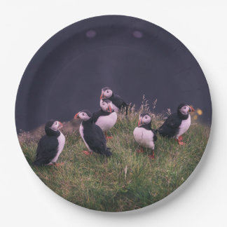Atlantic Puffins Paper Plates
