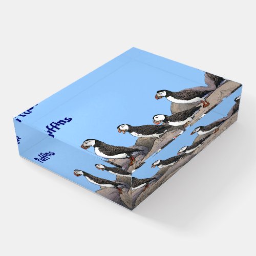 Atlantic Puffins Paperweight