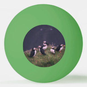 Atlantic Puffins Ping Pong Ball