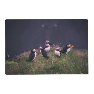 Atlantic Puffins Placemat