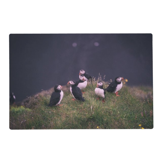 Atlantic Puffins  Placemat (Front)