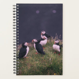 Atlantic Puffins Planner