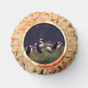 Atlantic Puffins Reese's Peanut Butter Cups