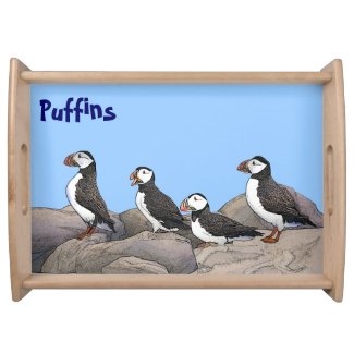 Atlantic Puffins