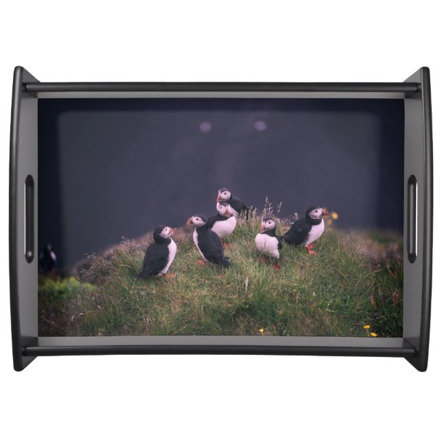 Atlantic Puffins Serving Tray (Front)
