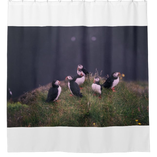 Atlantic Puffins Shower Curtain (Front)