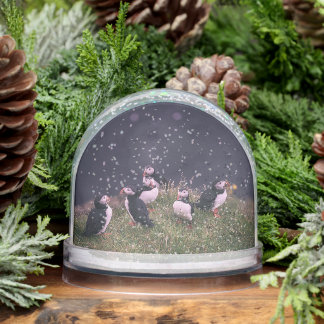 Atlantic Puffins Snow Globe