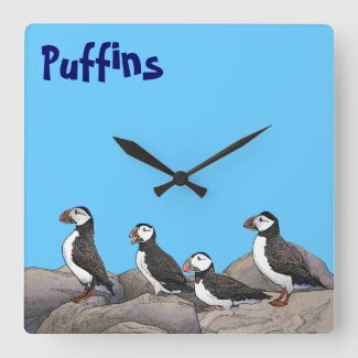 Atlantic Puffins