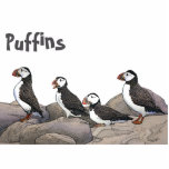 Atlantic Puffins Statuette<br><div class="desc">Puffins at rest on the rocks. Customizable text reading, "Puffins" also appears. The Atlantic Puffin (Fratercula arctica) feeds primarily by diving in the water. They breed in large colonies on coastal cliffs or offshore islands in the North Atlantic. Puffins shed the colorful outer parts of their bills after the breeding...</div>