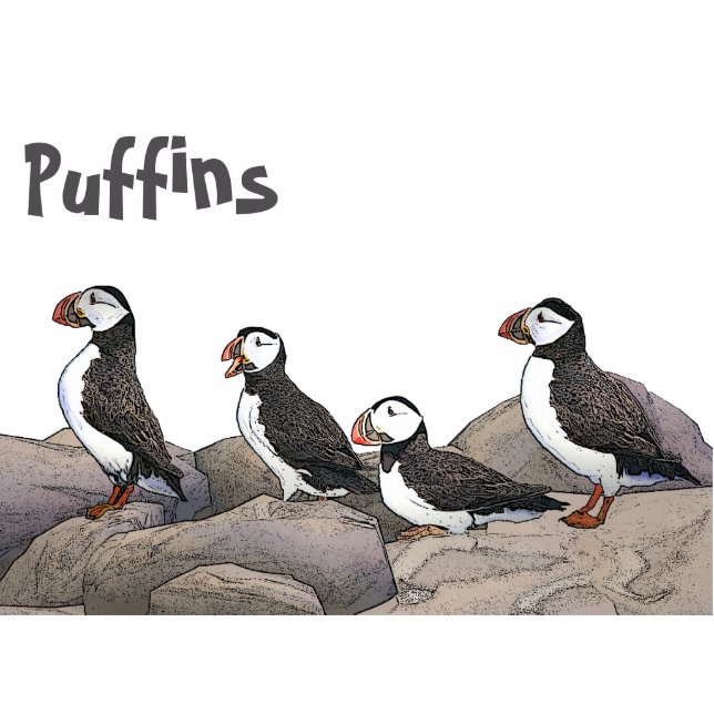 Atlantic Puffins Statuette (Front)