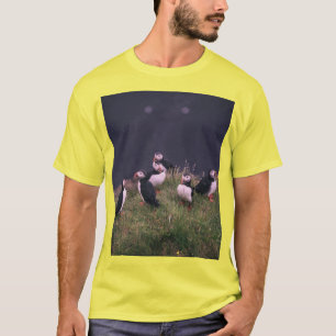 Atlantic Puffins T-Shirt