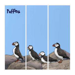 Atlantic Puffins Triptych