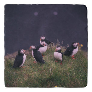 Atlantic Puffins Trivet