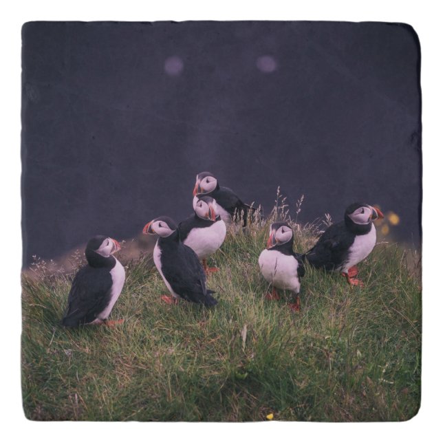 Atlantic Puffins Trivet (Front)