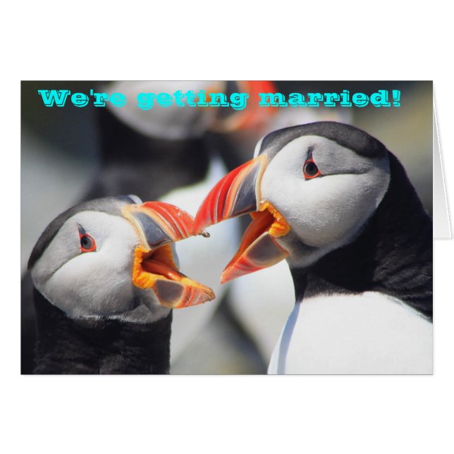 Atlantic Puffins We're Getting Married Cards (Front Horizontal)