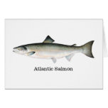 Atlantic Salmon at Zazzle