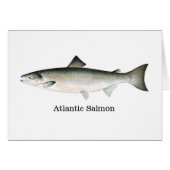 Atlantic Salmon Cards (Front Horizontal)