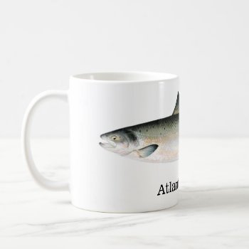 Atlantic Salmon Fish Coffee Mug by fishshop at Zazzle