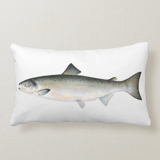 salmon pillow