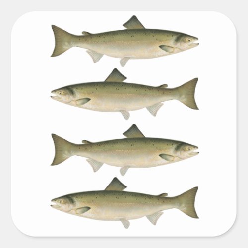 Atlantic Salmon Fishing Adventure Square Sticker