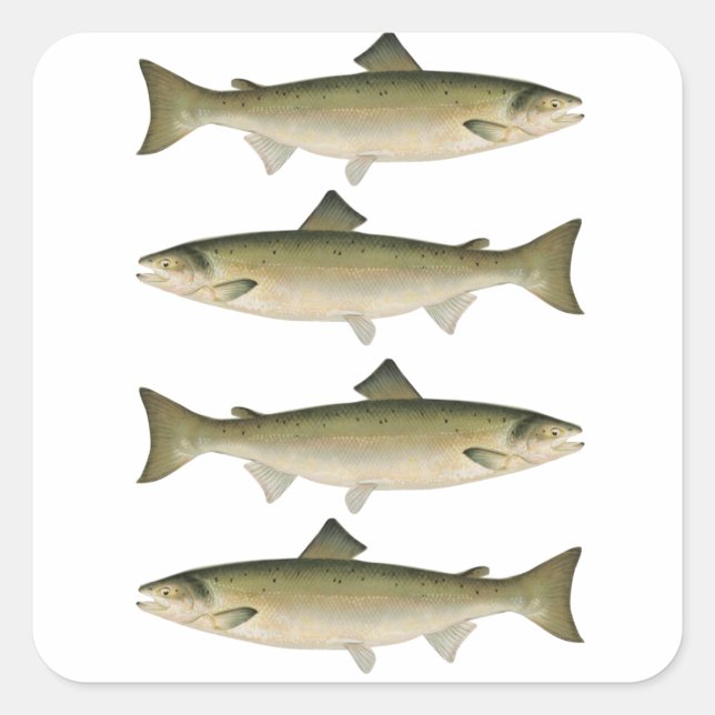Atlantic Salmon Fishing Adventure Square Sticker (Front)