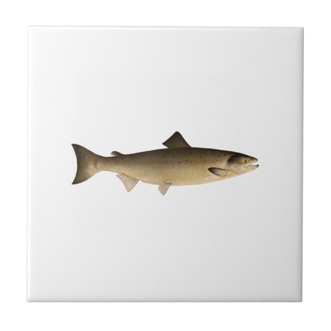 Atlantic Salmon Tile (Front)