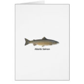 Atlantic Salmon (titled) (Front)
