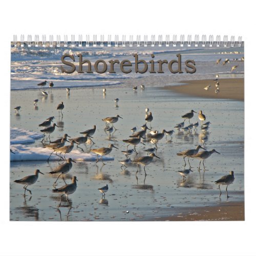 Atlantic Shorebirds Calendar