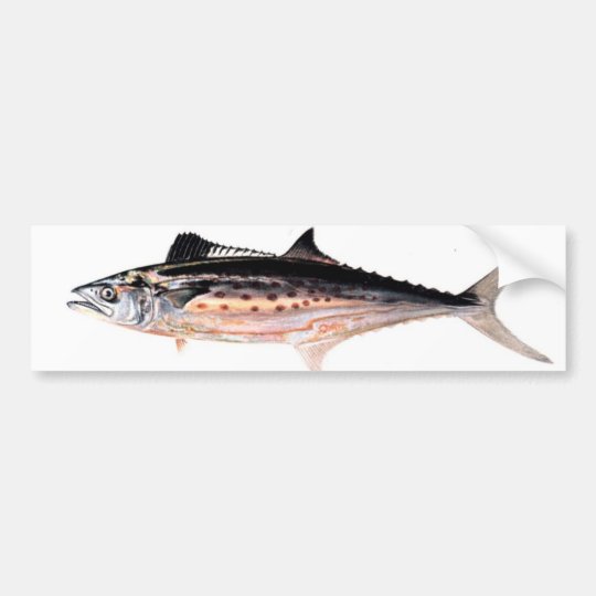 Atlantic Spanish Mackerel Bumper Sticker