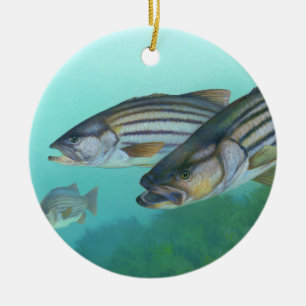 Atlantic Striped Bass Fish Morone Saxatilis Ceramic Ornament