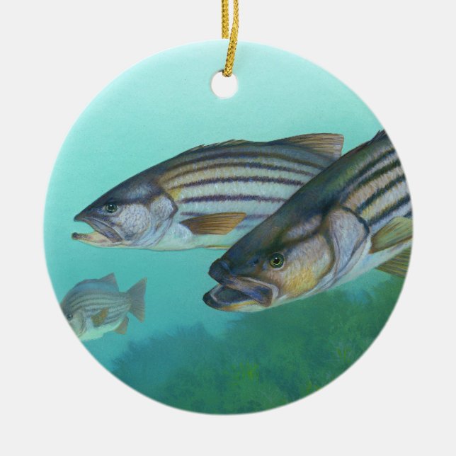 Atlantic Striped Bass Fish Morone Saxatilis Ceramic Ornament (Front)