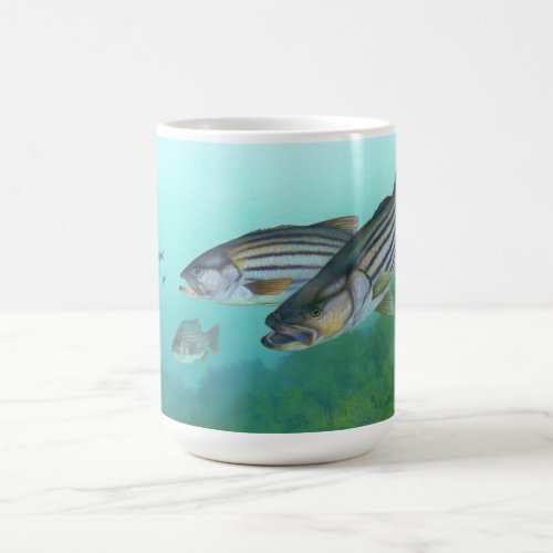 Atlantic Striped Bass Fish Morone Saxatilis Coffee Mug