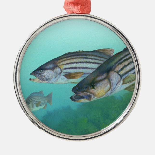 Atlantic Striped Bass Fish Morone Saxatilis Metal Ornament (Front)
