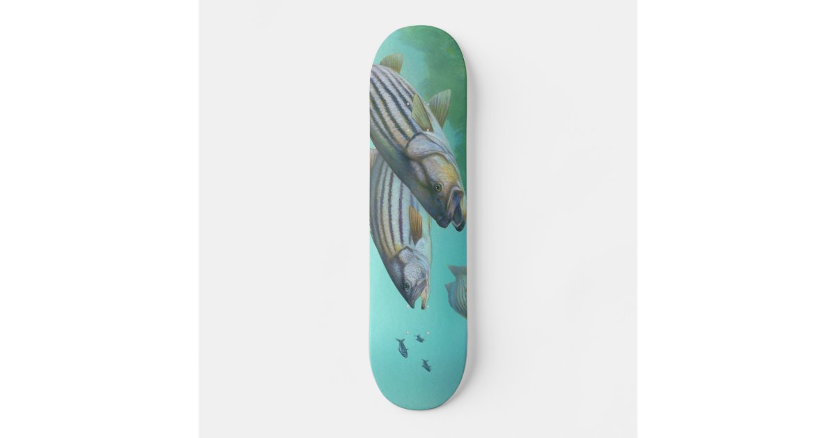 Atlantic Striped Bass Fish Morone Saxatilis Skateboard Deck