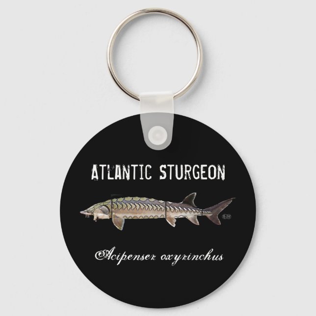 Atlantic Sturgeon Title Keychain - Scute Layers (Front)