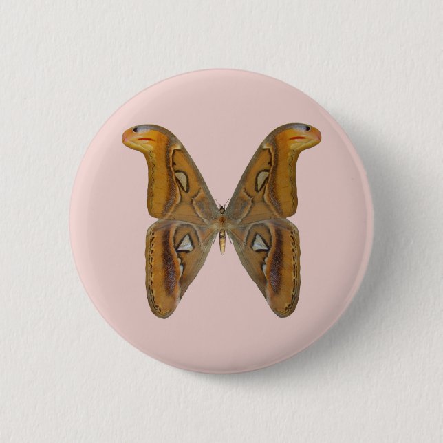Atlas Moth Button (Front)