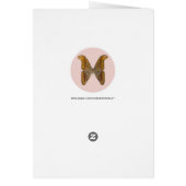 Atlas Moth Cards (Back)