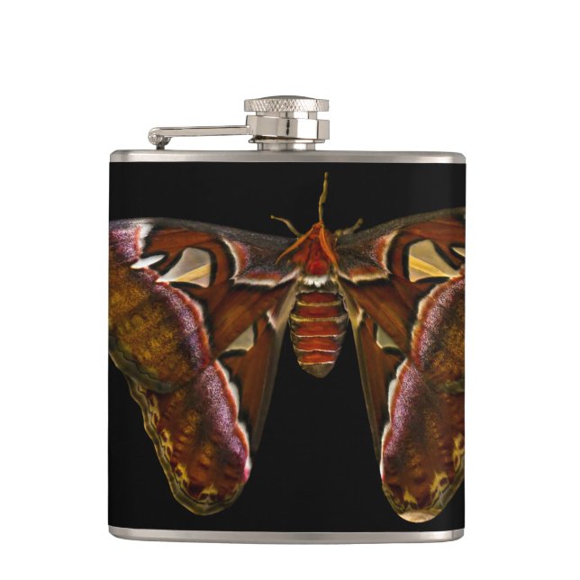 Atlas Moth - Snake Head Flask (Front)