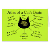 Atlas Of a Cat's Brain (Front Horizontal)