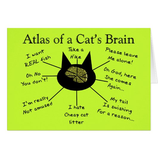 Atlas Of a Cat's Brain (Front Horizontal)