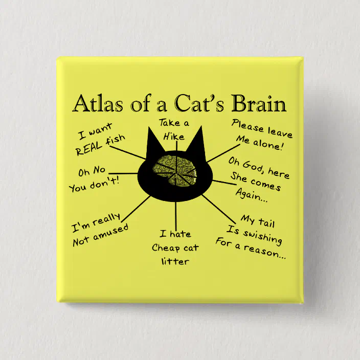 Atlas Of A Cat S Brain Pinback Button Zazzle Com