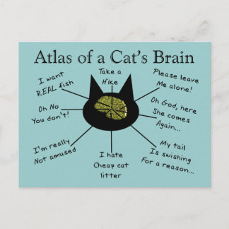 Atlas Of a Cat's Brain Postcard