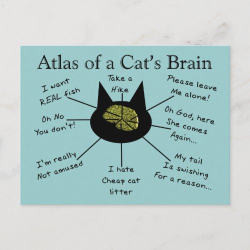 Atlas Of a Cats Brain Postcard