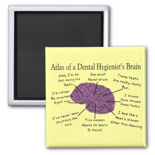 Atlas of a Dental Hygienists Brain Magnet