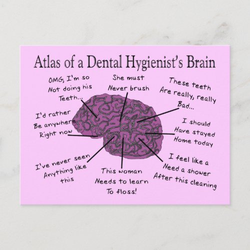Atlas of a Dental Hygienists Brain Postcard