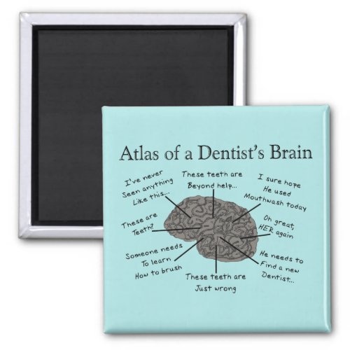 Atlas of a Dentists Brain Humorous  Magnet