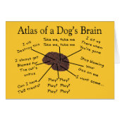 Atlas of a Dog's Brain (Front Horizontal)