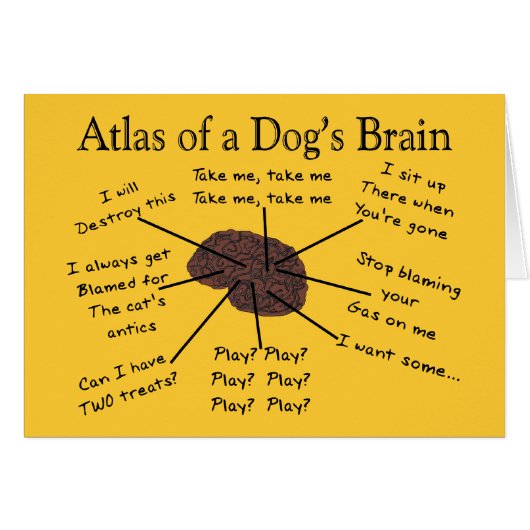 Atlas of a Dog's Brain Cards (Front Horizontal)