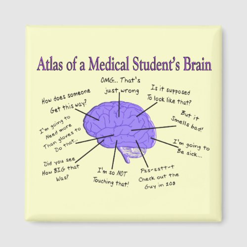 Atlas of a Medical Students Brain 2 Magnet